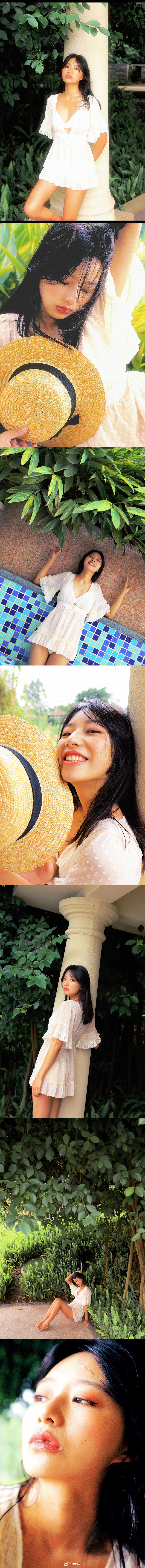 我与经典名著共成长作文